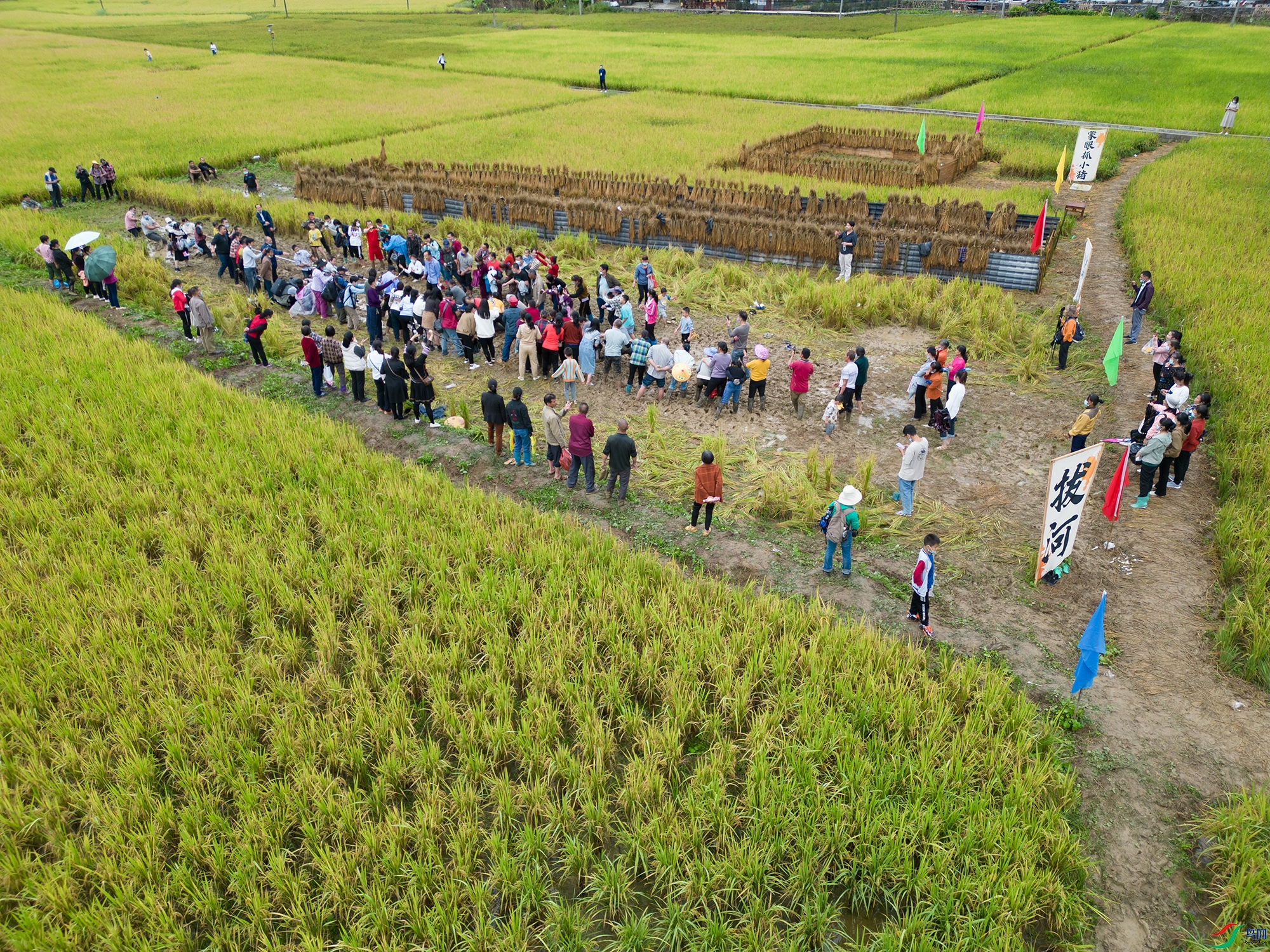 DJI_0518 ����.jpg