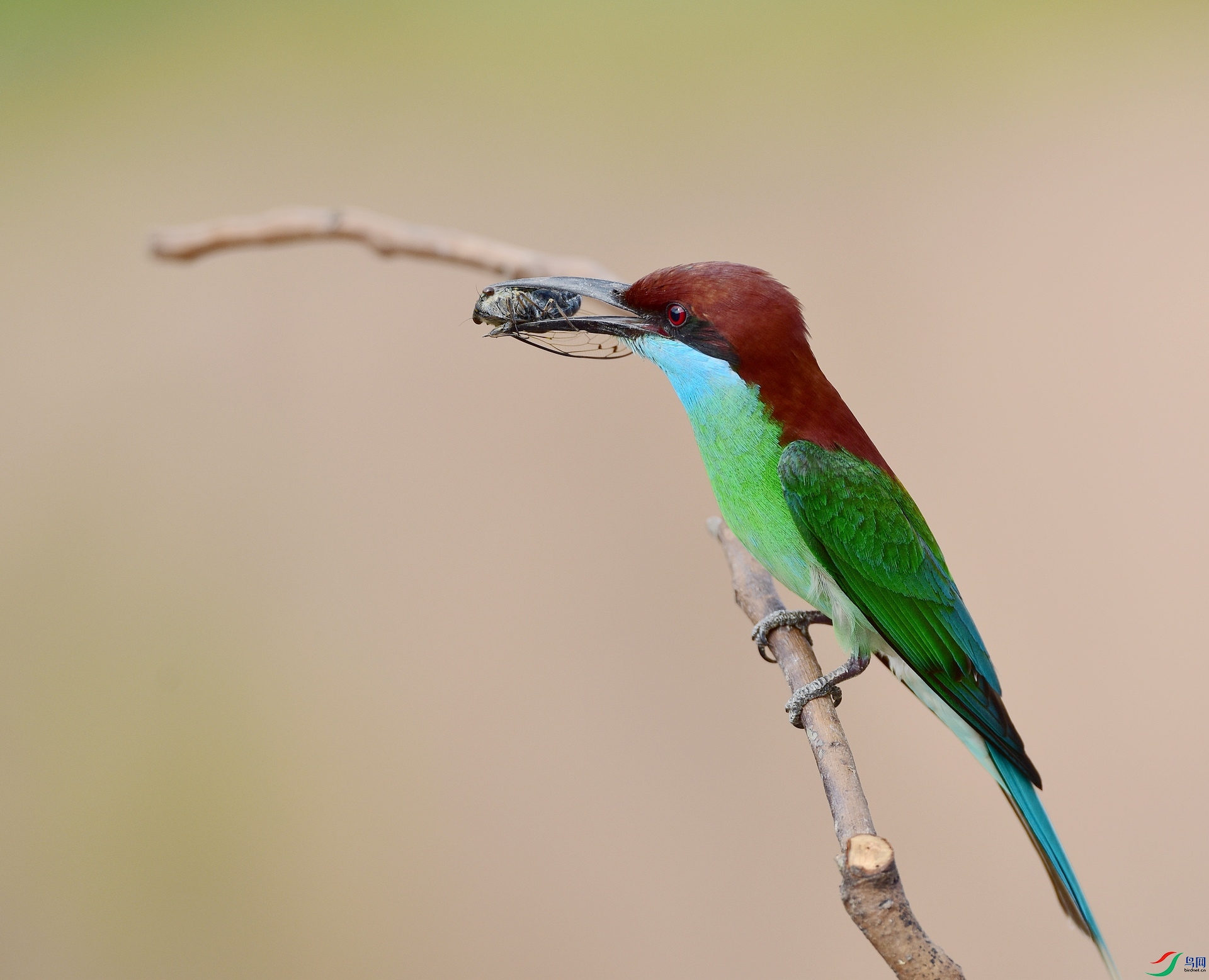 D8I_9337.jpg