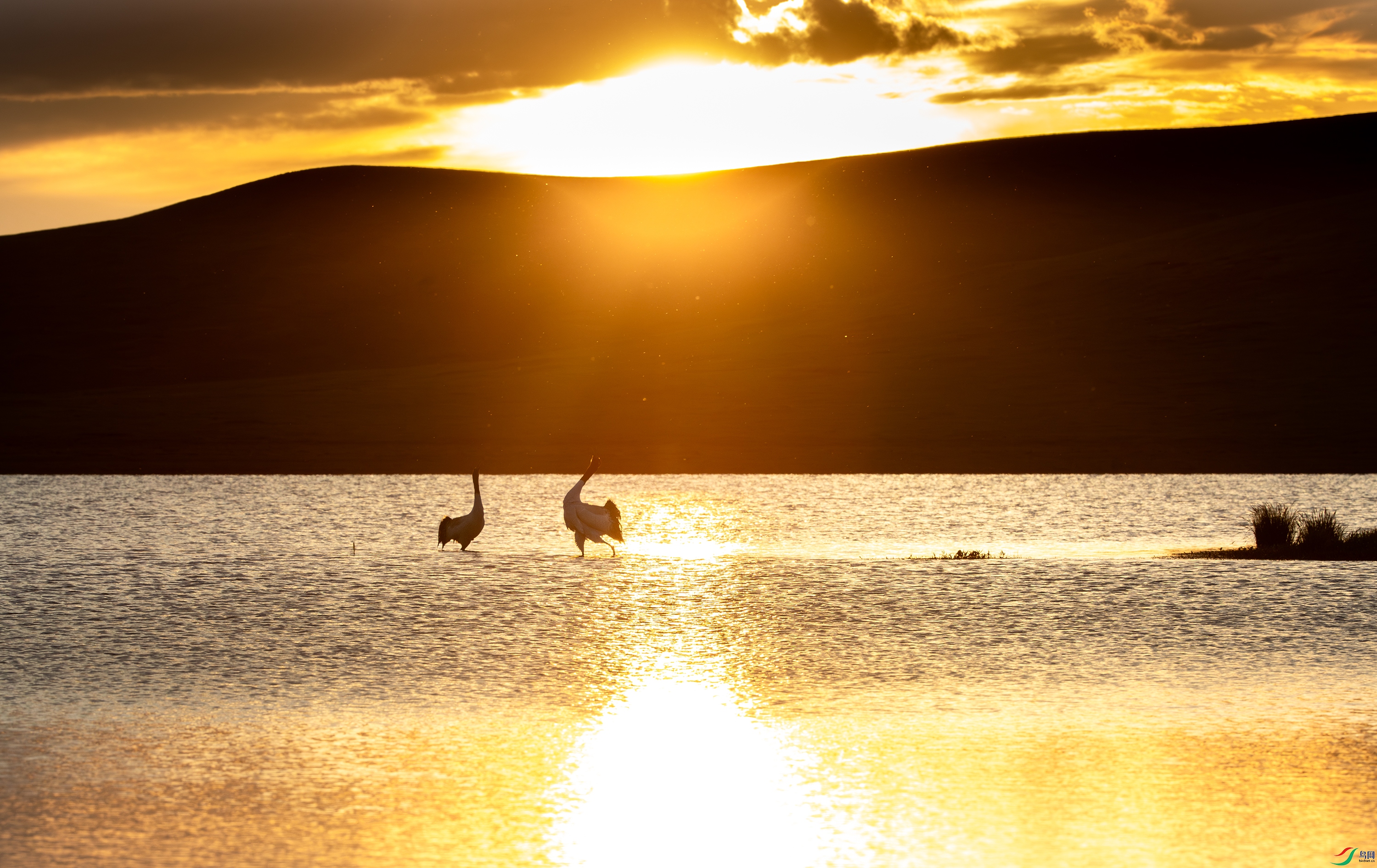 3S5A0472- ����.jpg