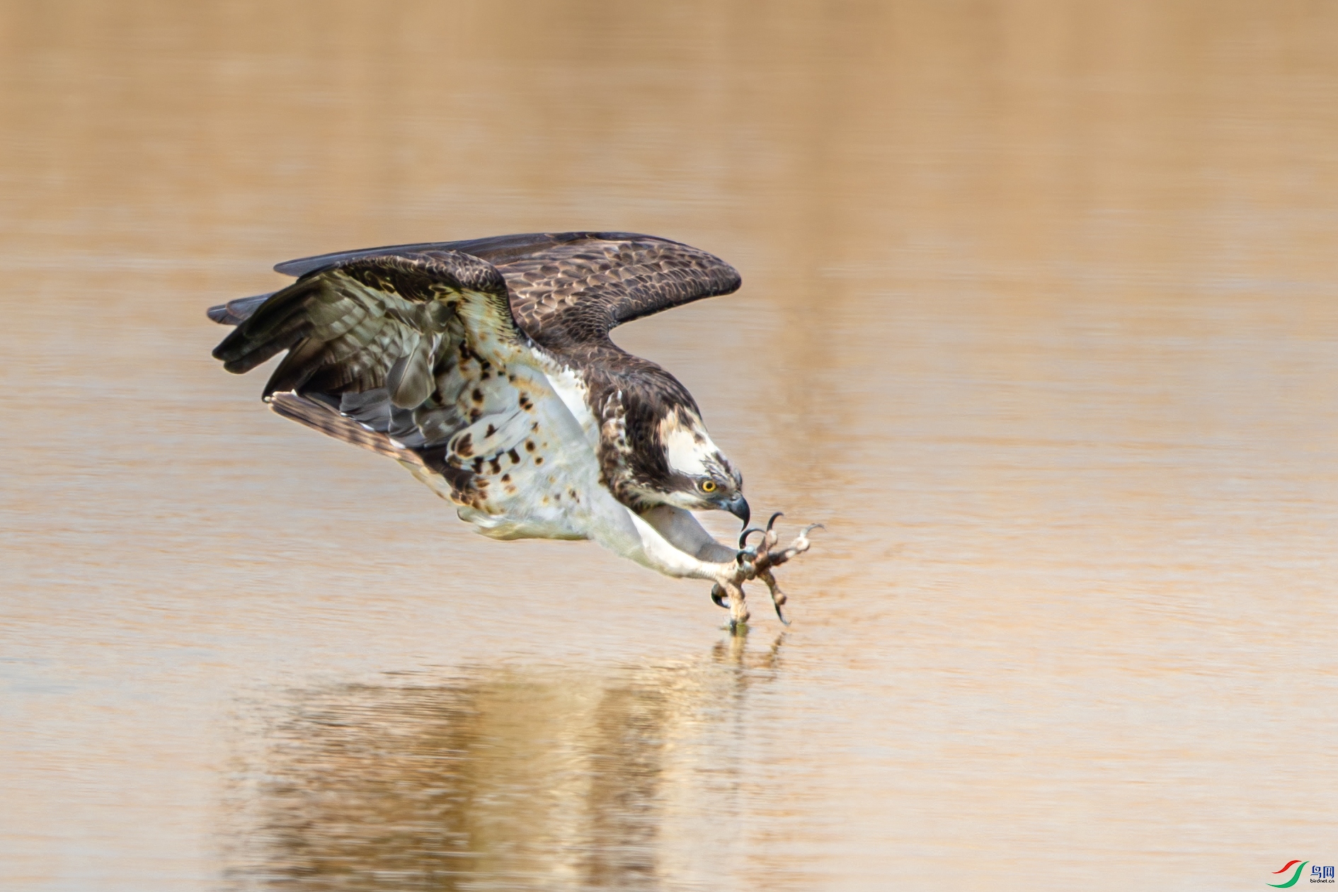 AY8I0761-����ǿ-NR ����.jpg