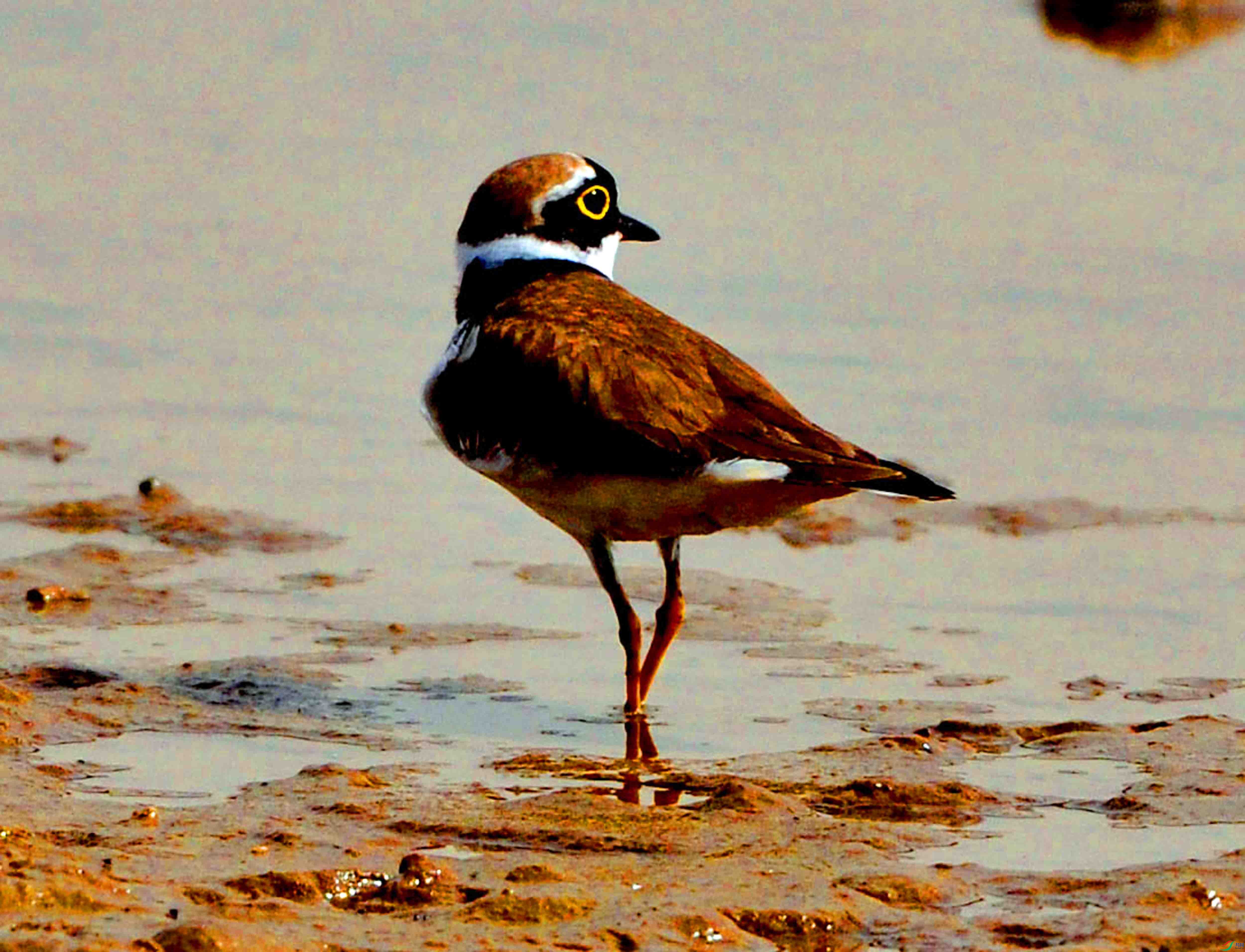 ����a (1).JPG