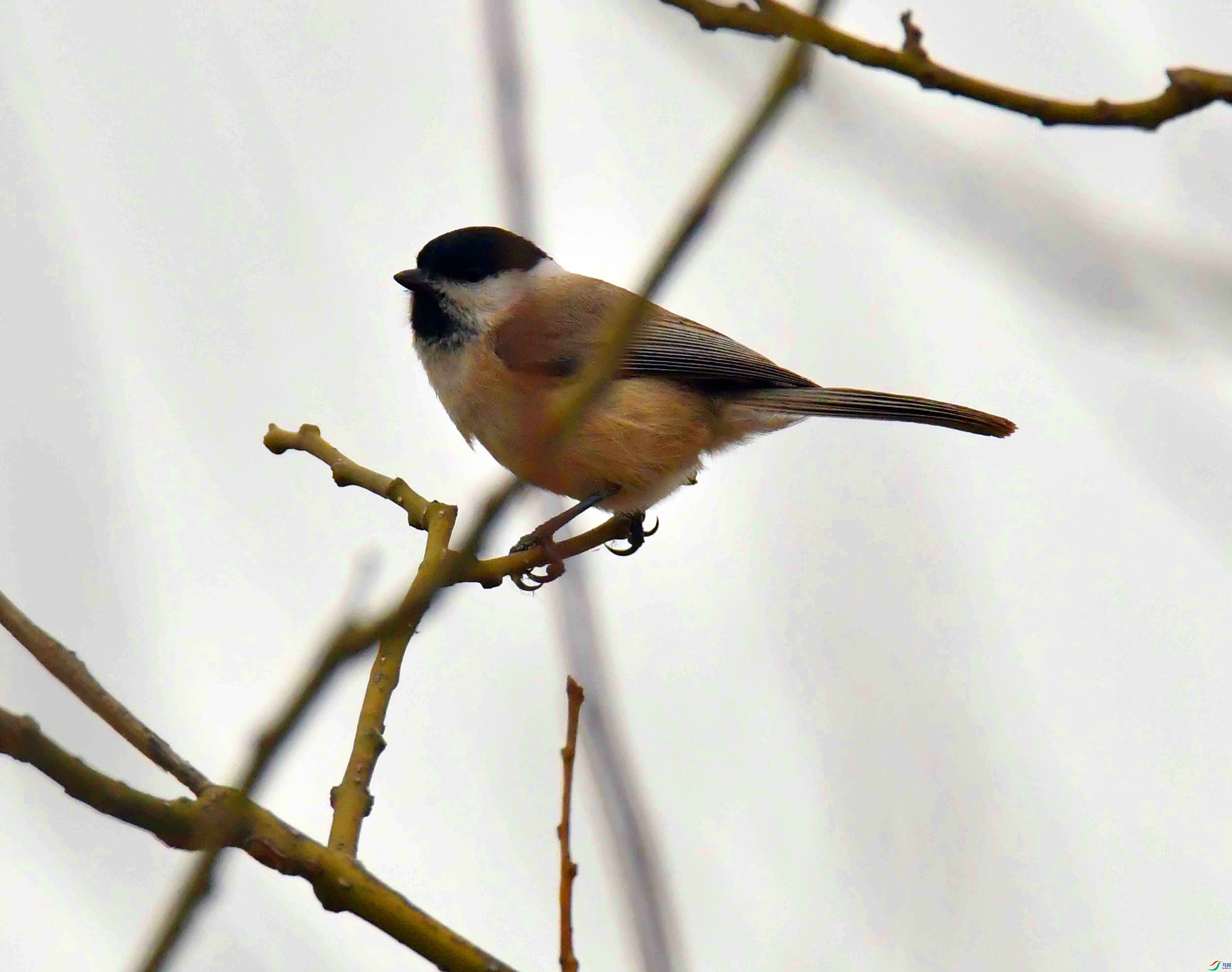 DSC_0862.JPG