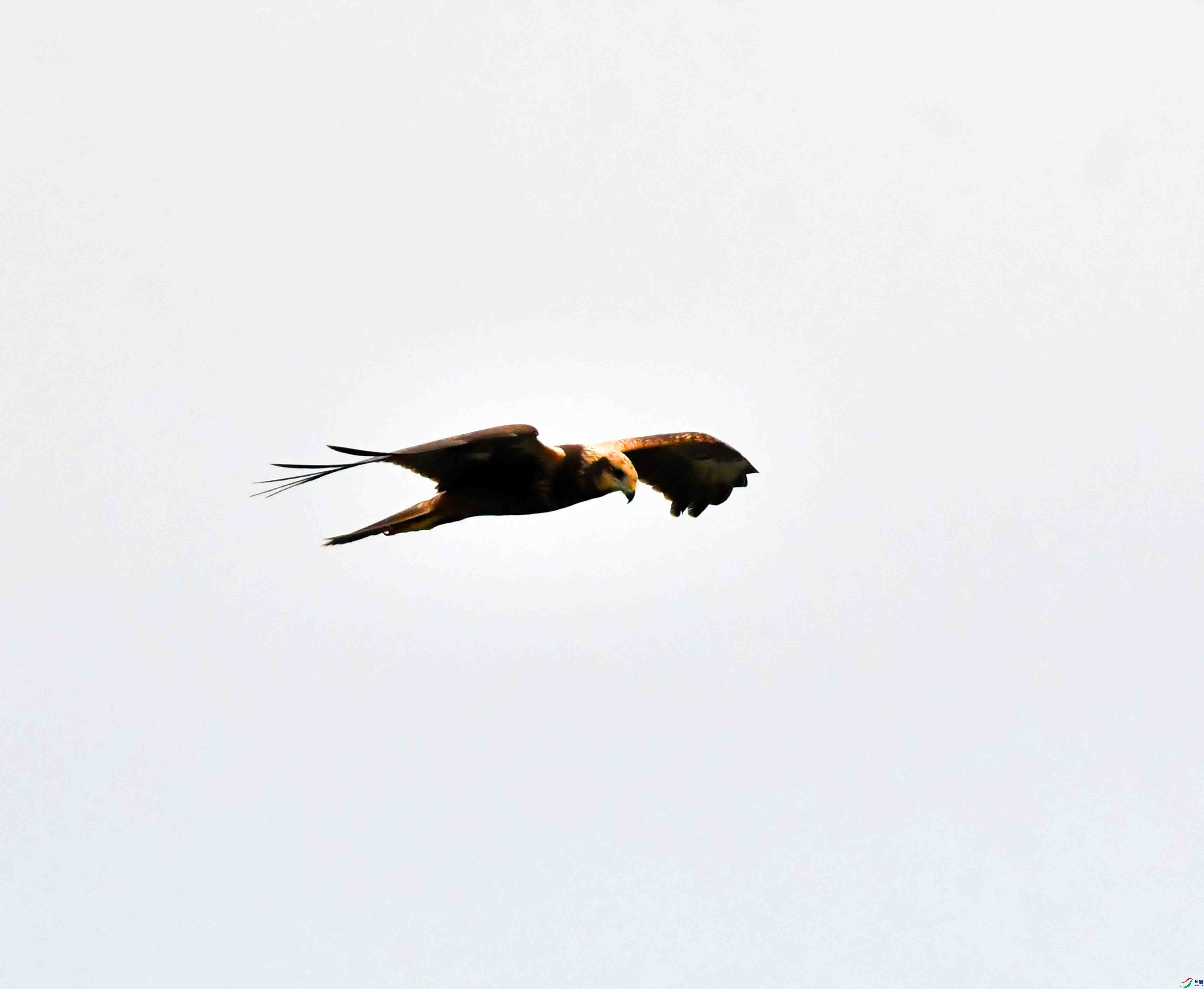 DSC_7508.JPG