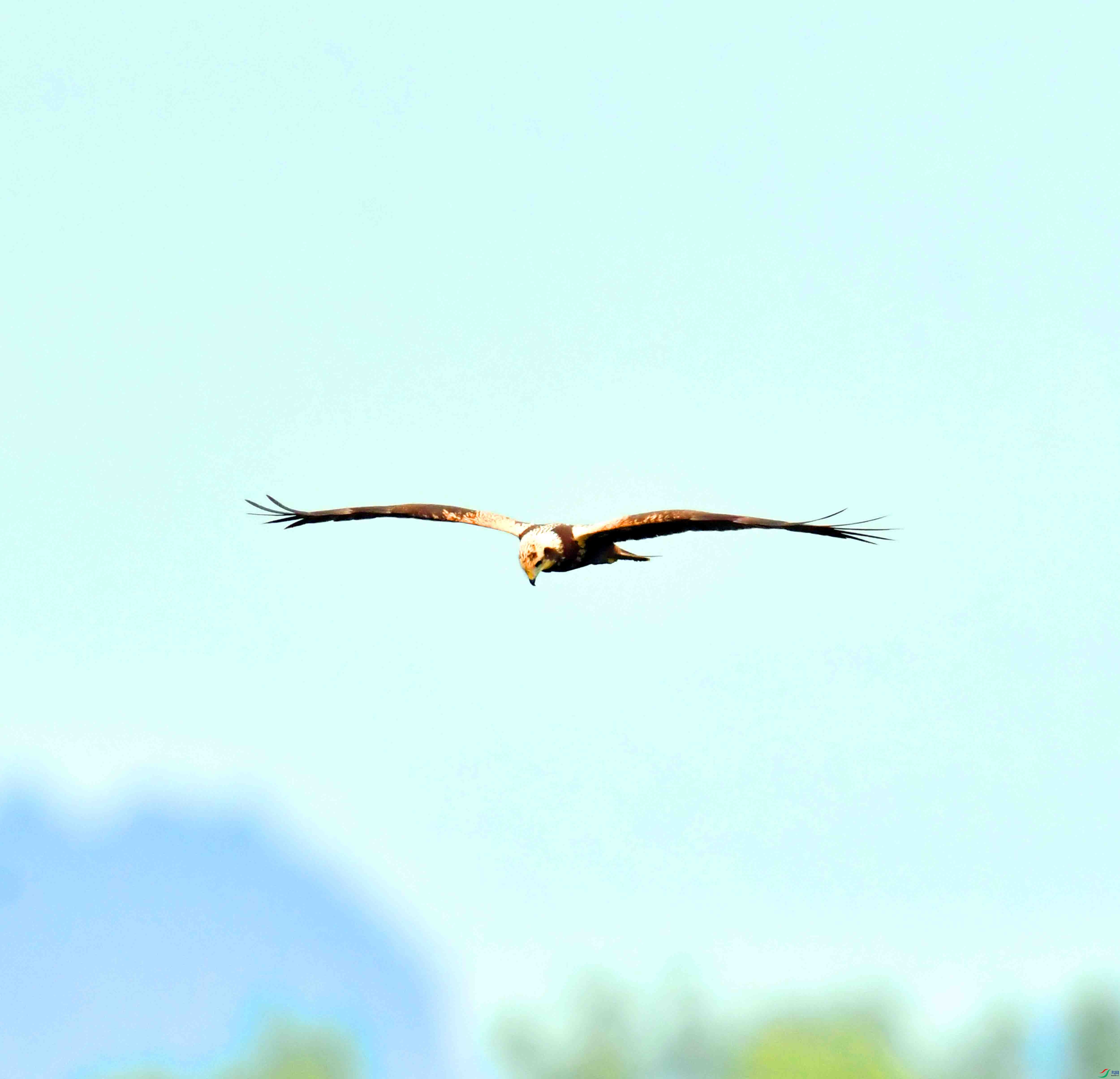 DSC_7629.JPG