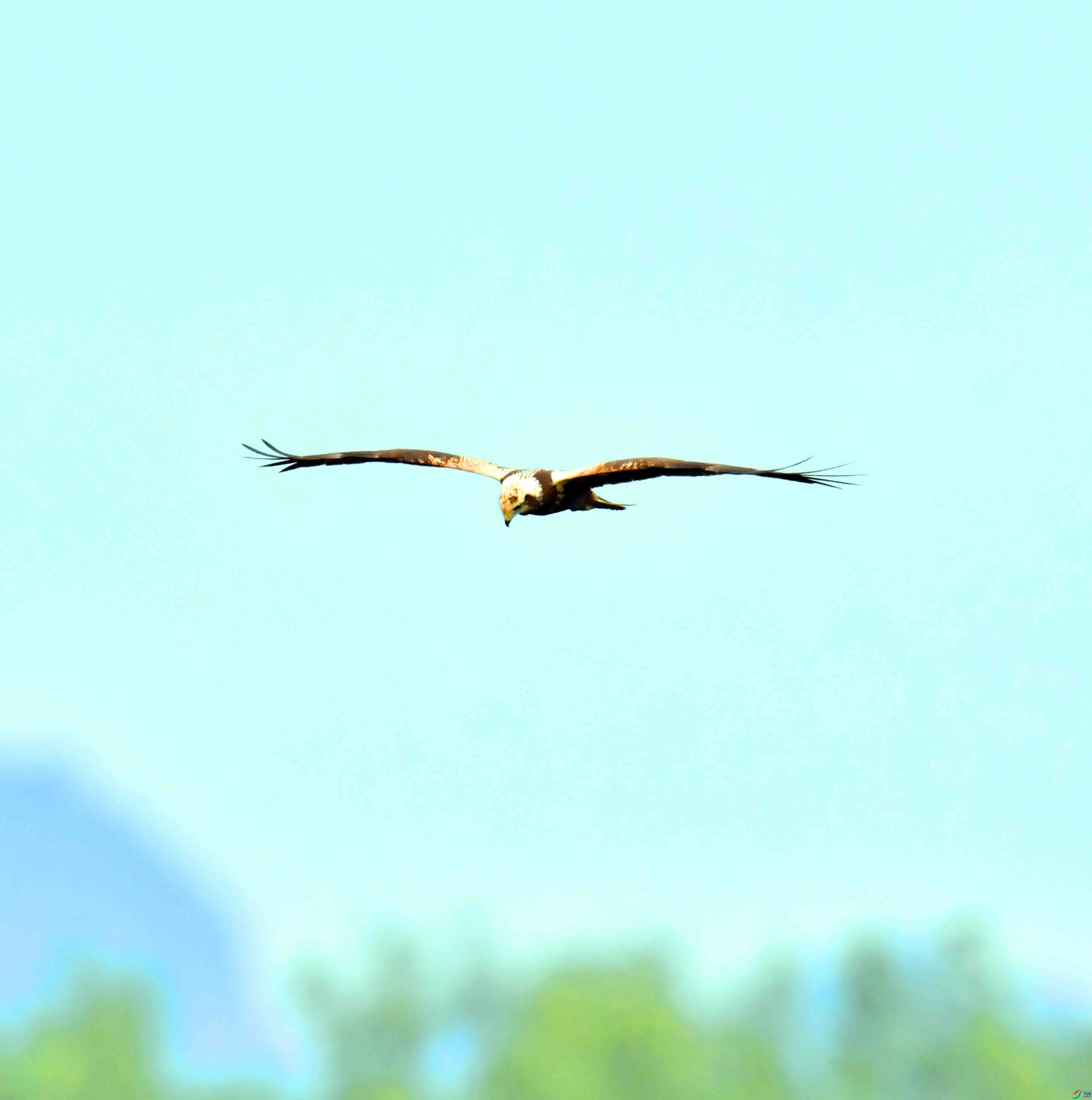 DSC_7628.JPG