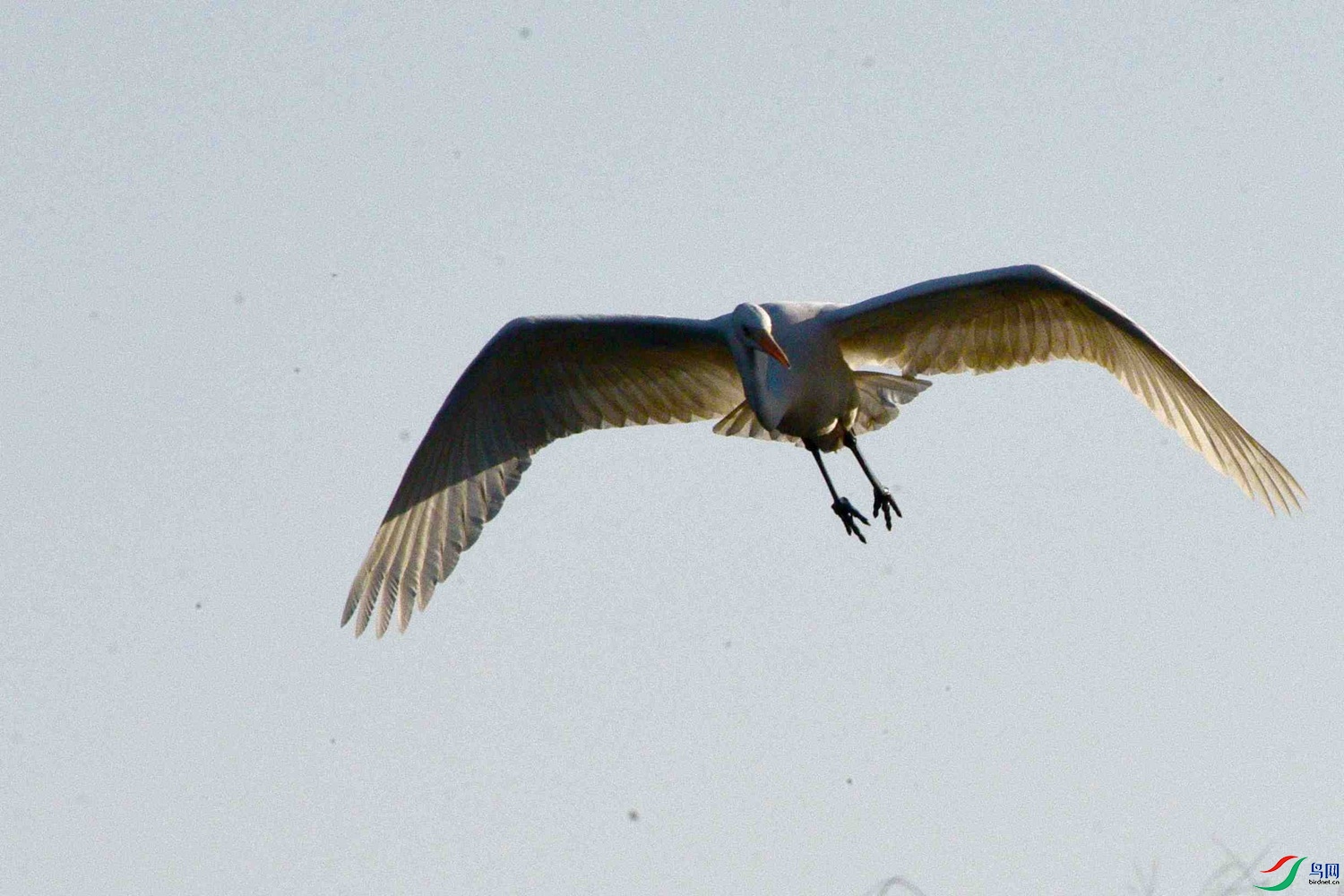 DSC_0063.JPG