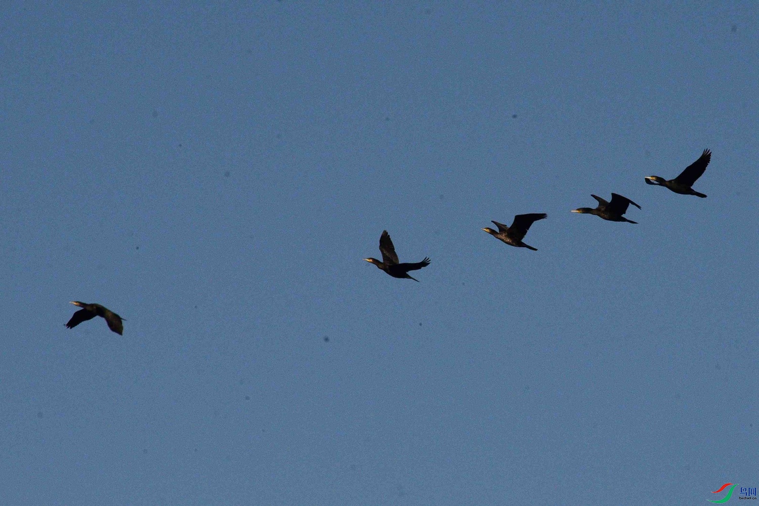 DSC_0179.JPG