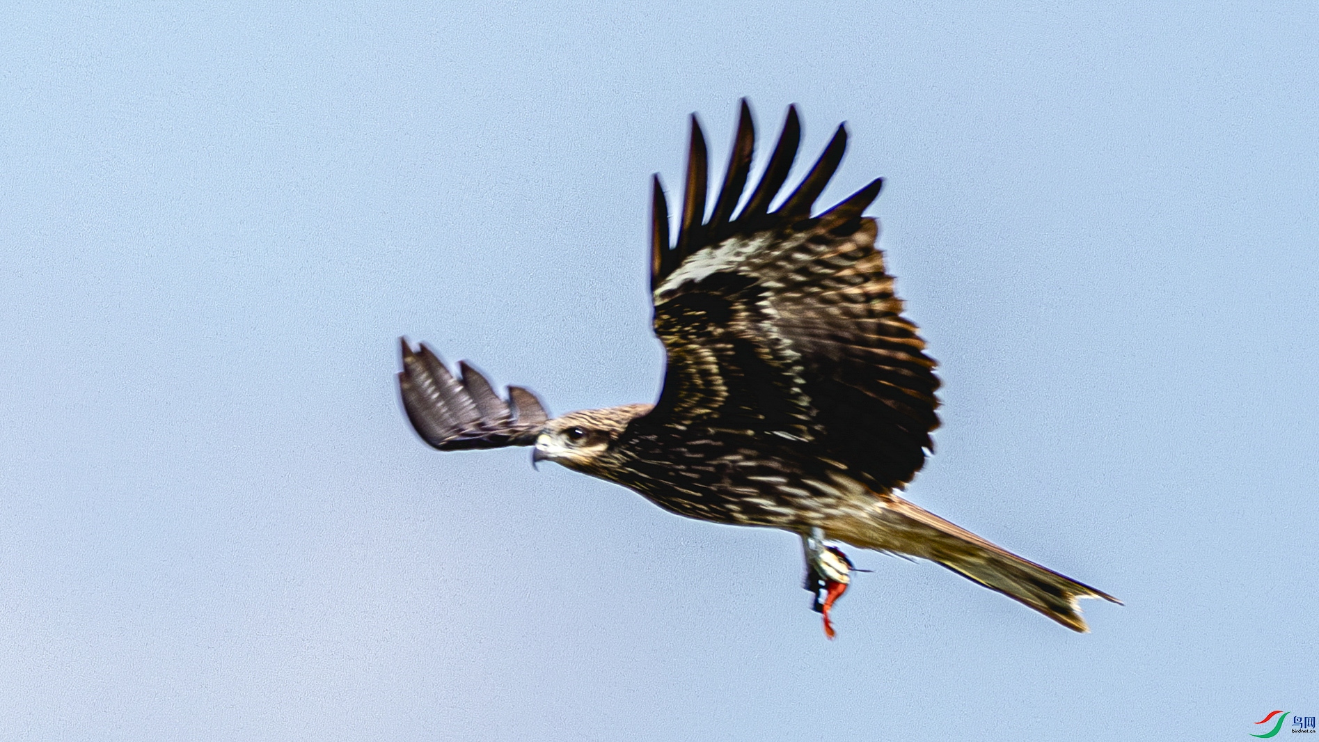 4Z6A8789.jpg