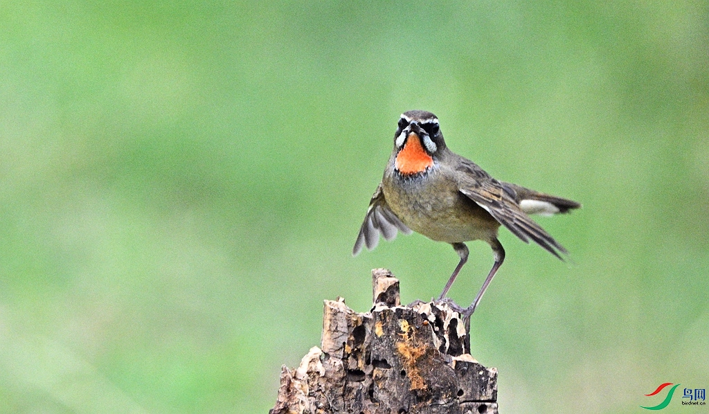 DSC_5854 - ����.JPG