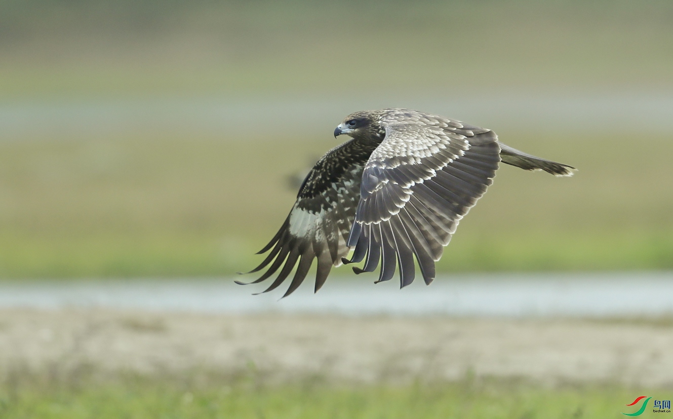 _U4I0833 ����.jpg