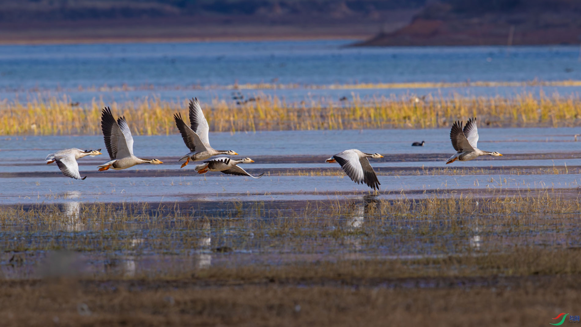AR2I7406-CR2_DxO_DeepPRIMEXD-2-1.jpg