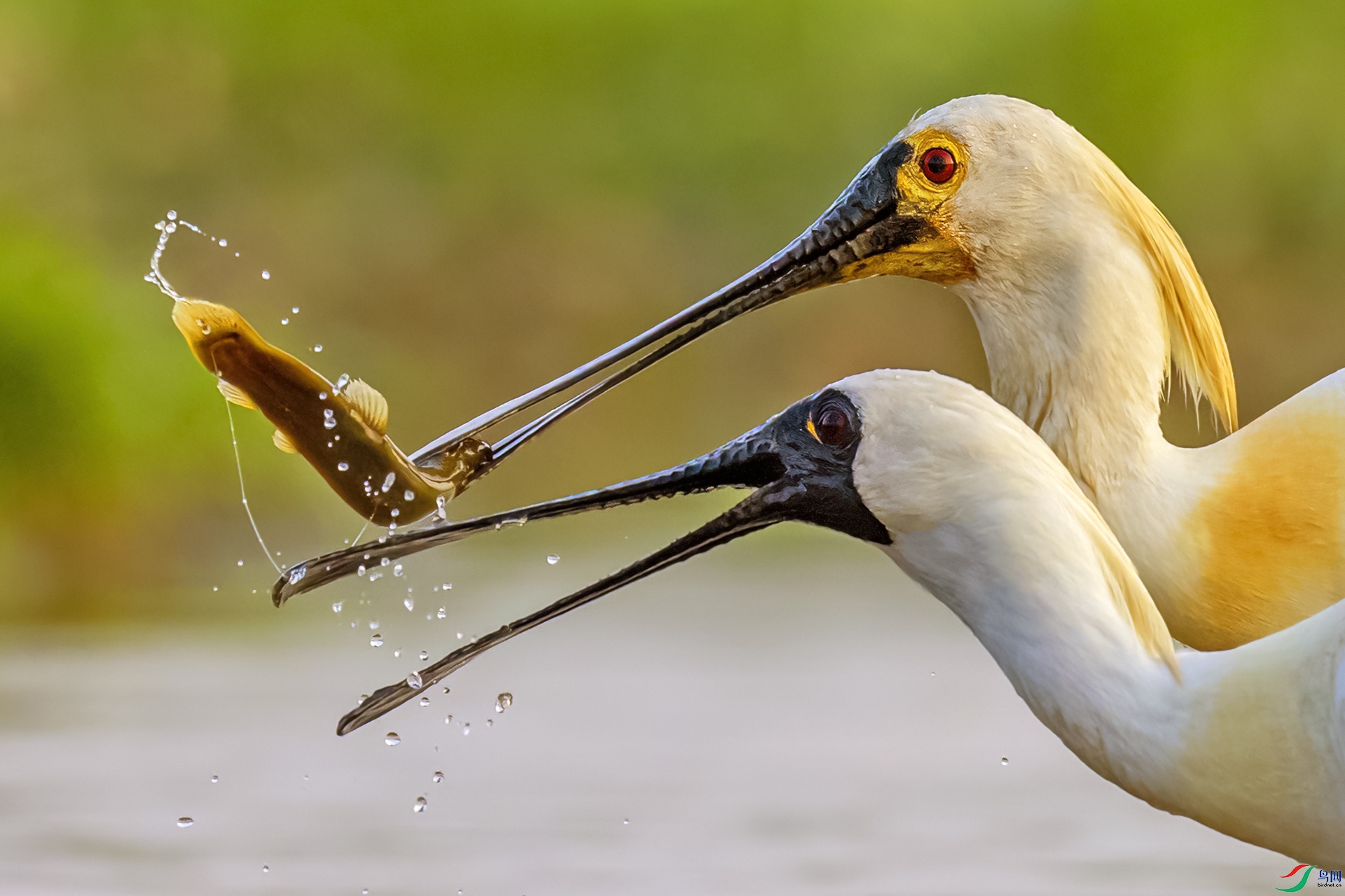 ������ ��������016����һ��.jpg