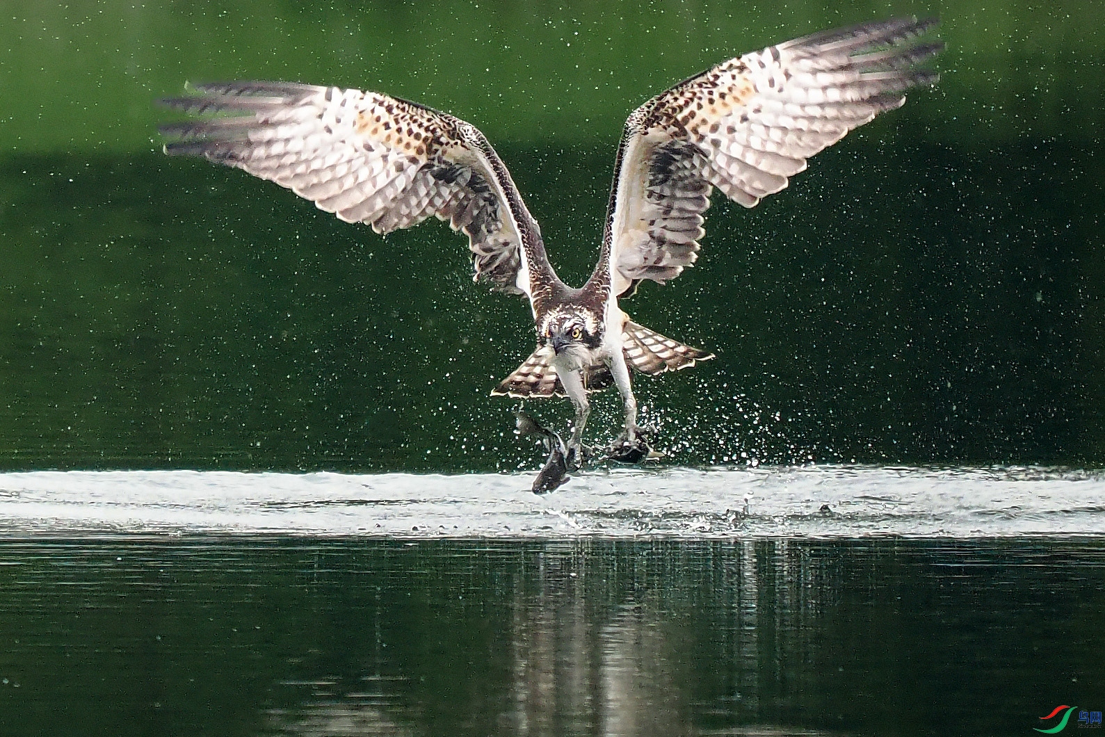 PA052700.jpg