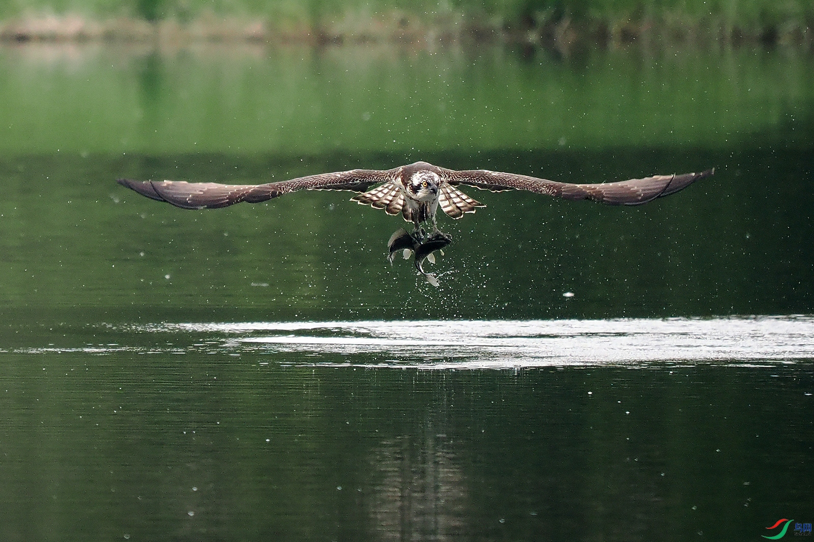 PA052712.jpg