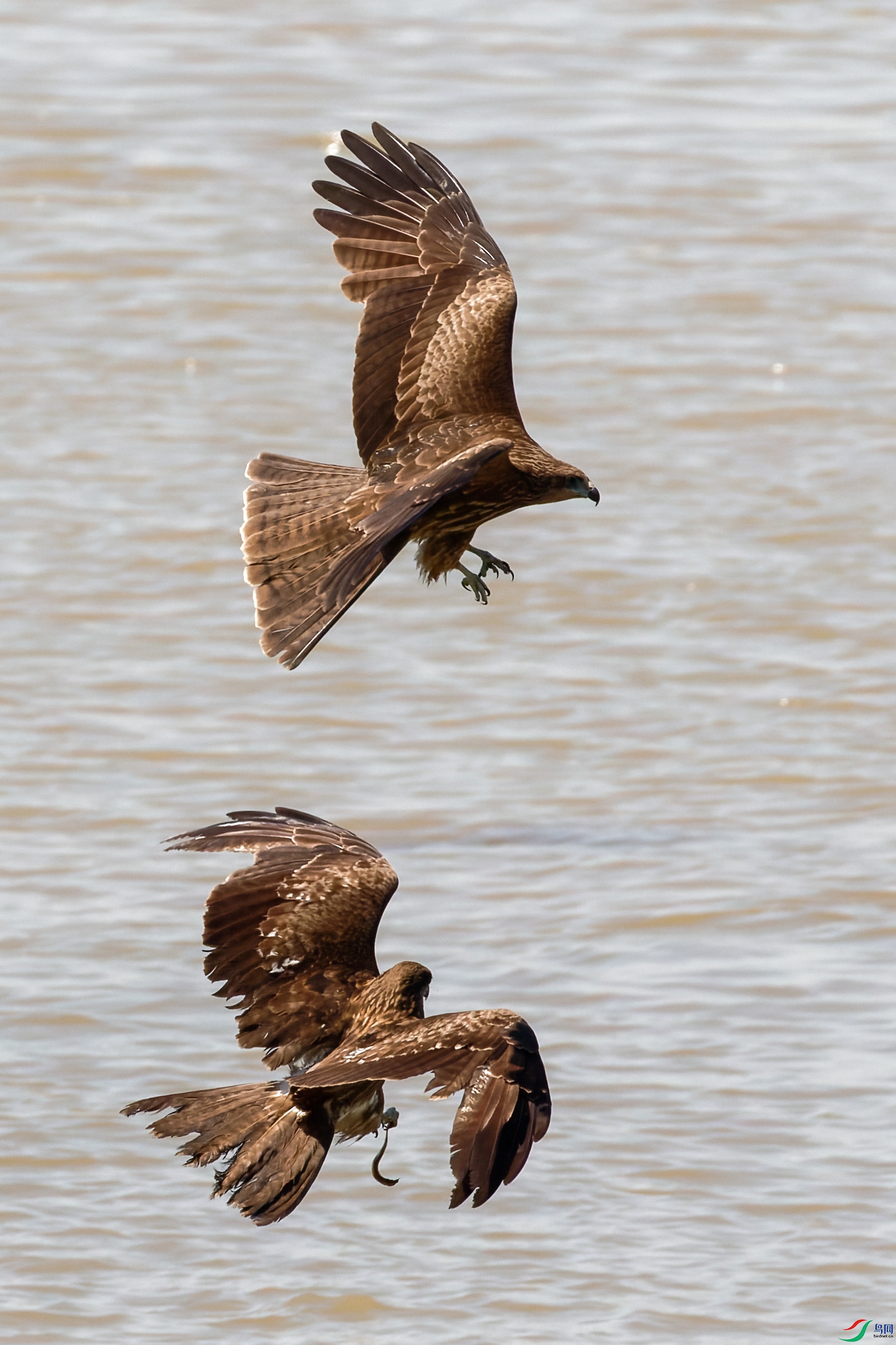 WEI_2150-CR2_DxO_DeepPRIME-1.jpg