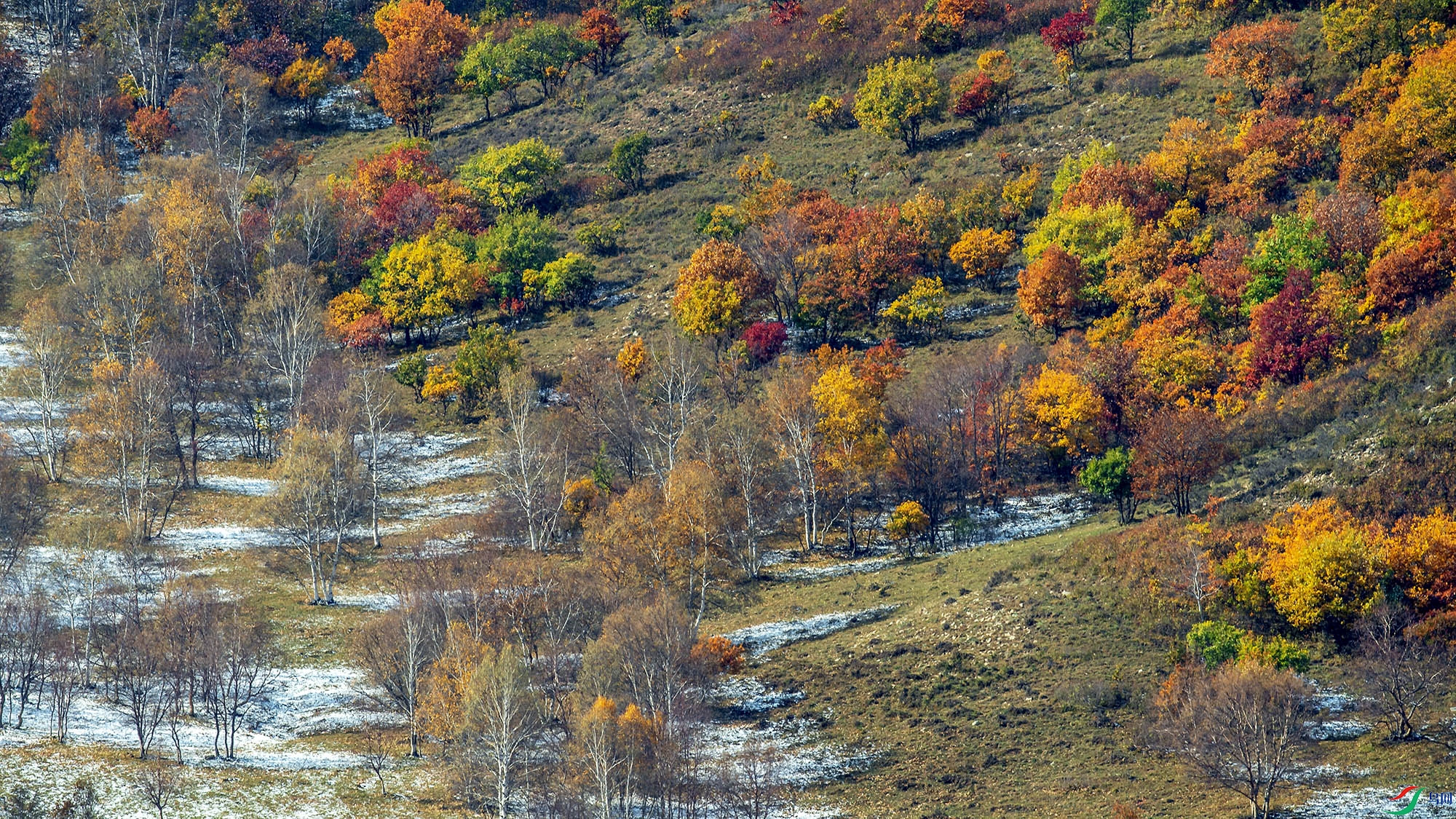 _DSC2742.jpg