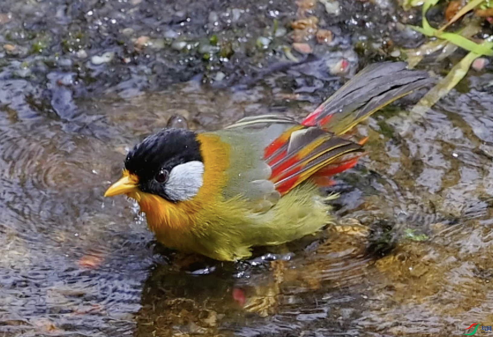 ����2024-10-12 14.11.11.png