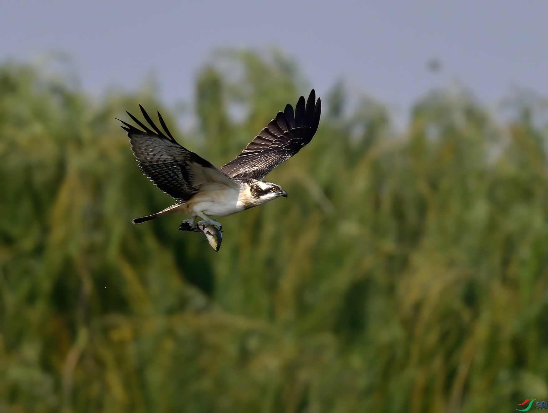 _DSC8490_���� (2).jpg