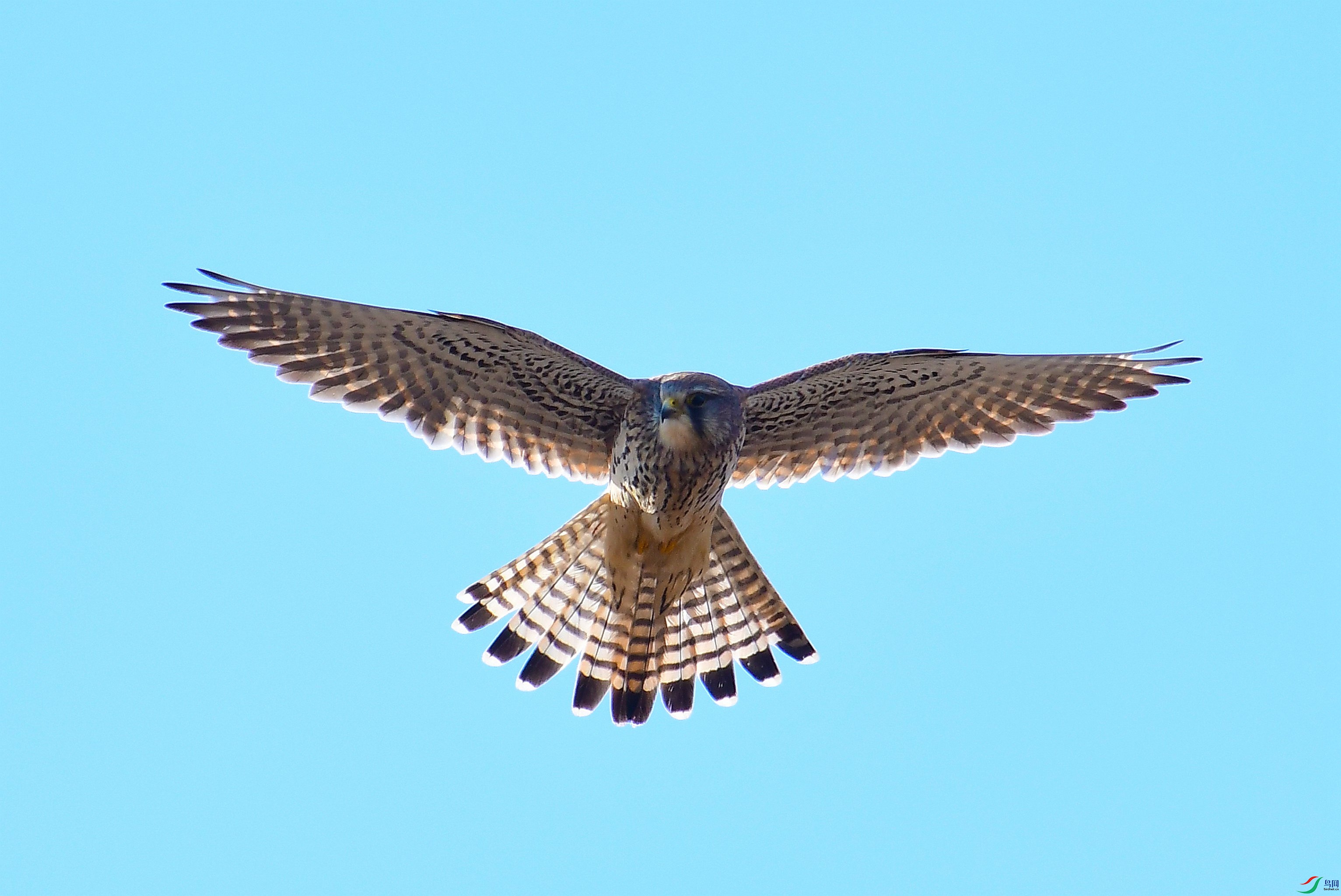 DSC_9809.JPG