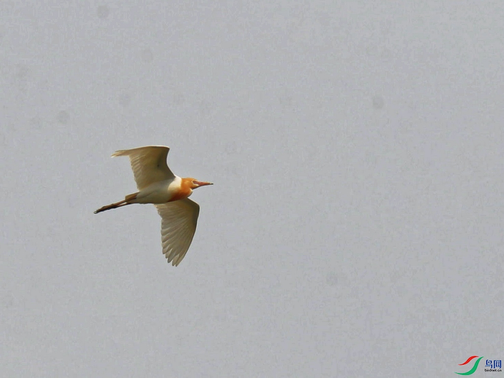 DSC20220507001.jpg