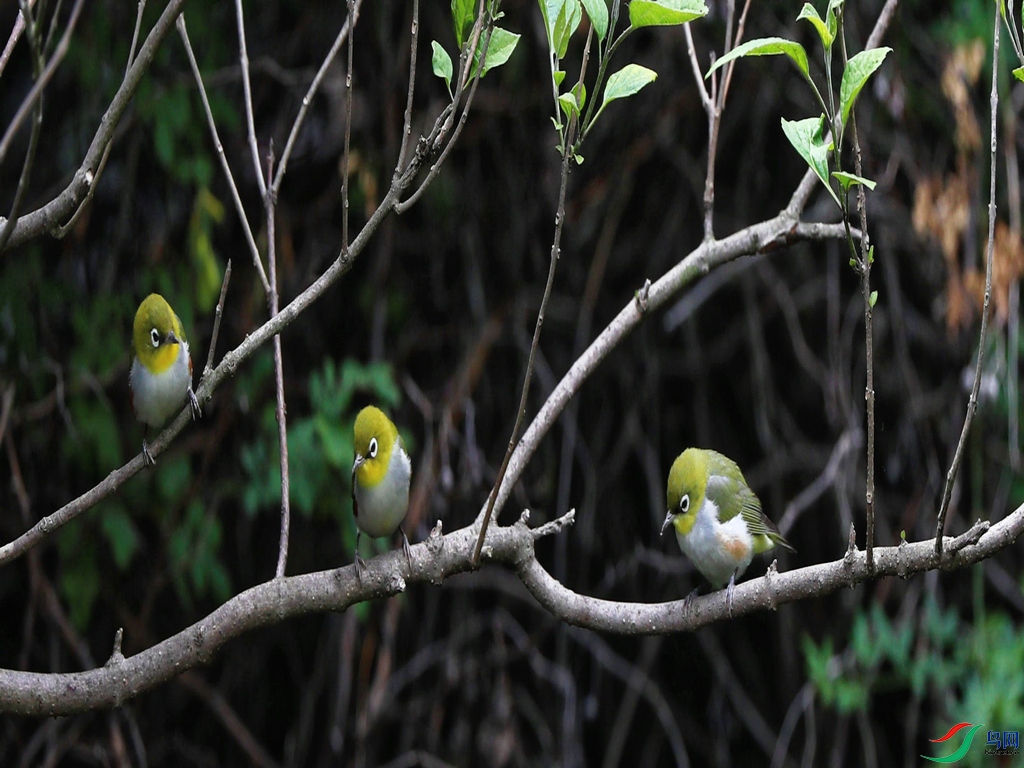 DSC20220514128.jpg