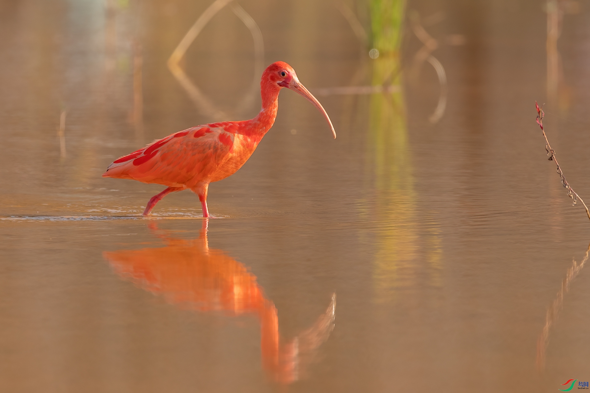 B86I6102 _����.jpg