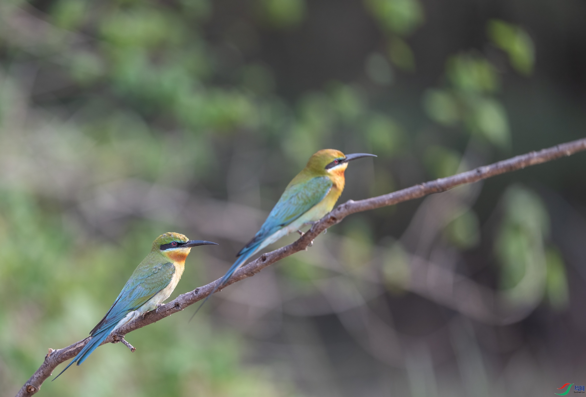 DSC_2486-1.jpg