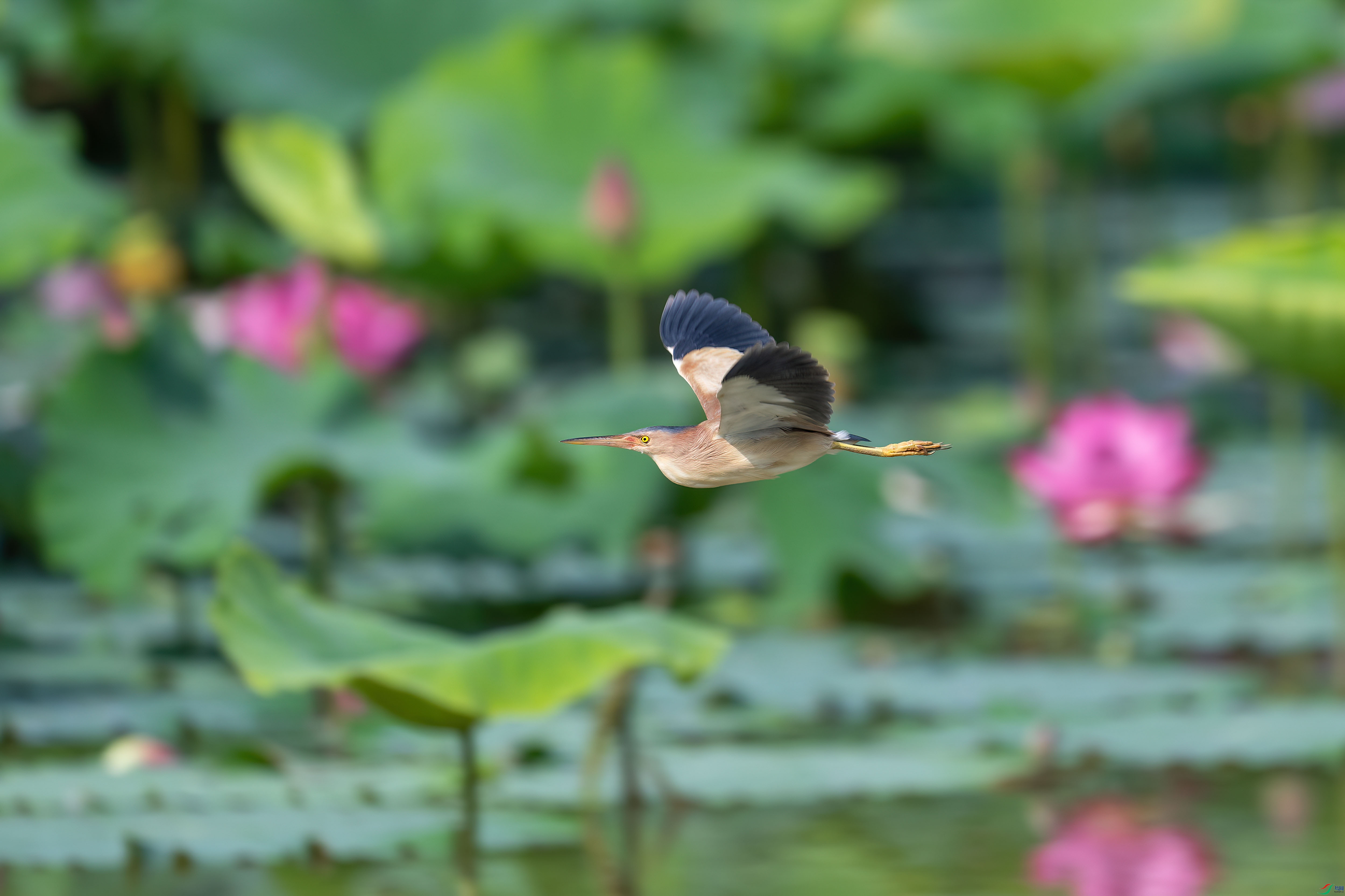 _DSC9748 ���� 2.jpg