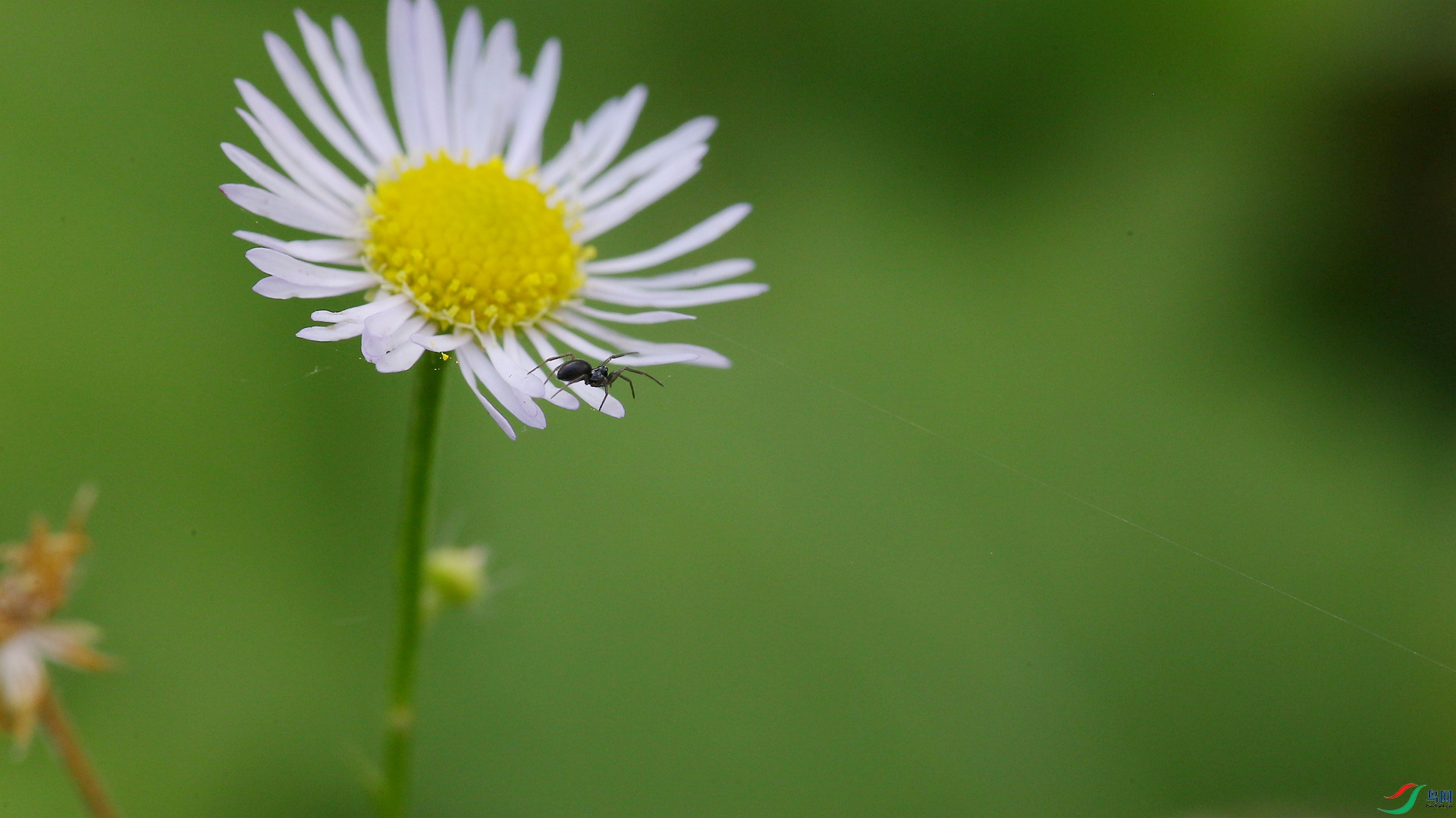 A48Z8676_����.jpg