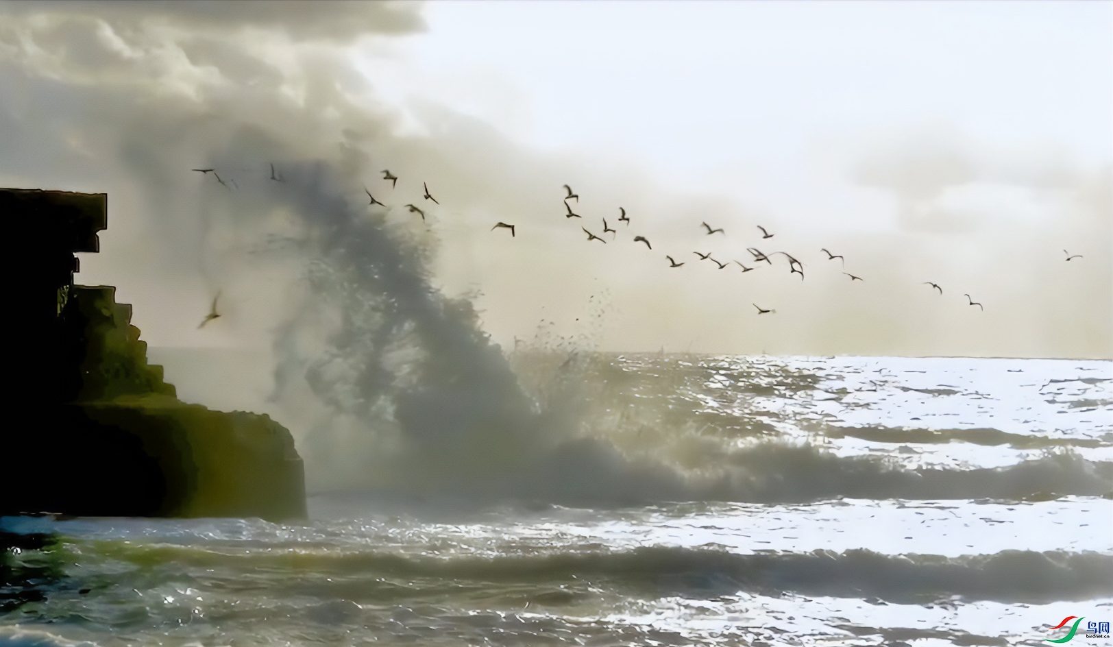 �����ĺ���