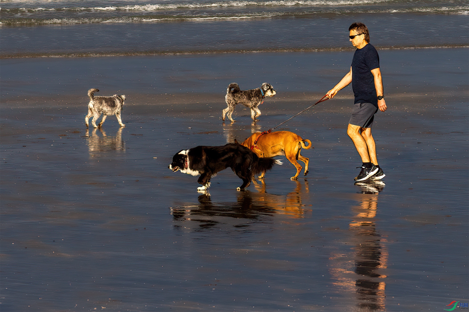 P2260222-1��̲.jpg