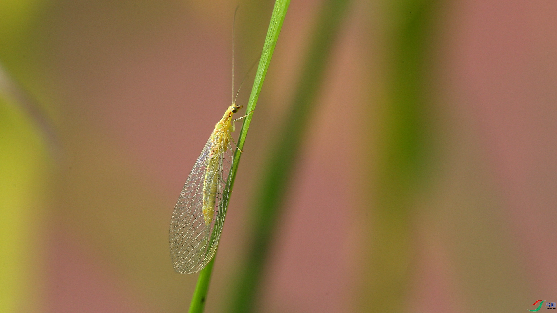 A48Z8741_����.jpg