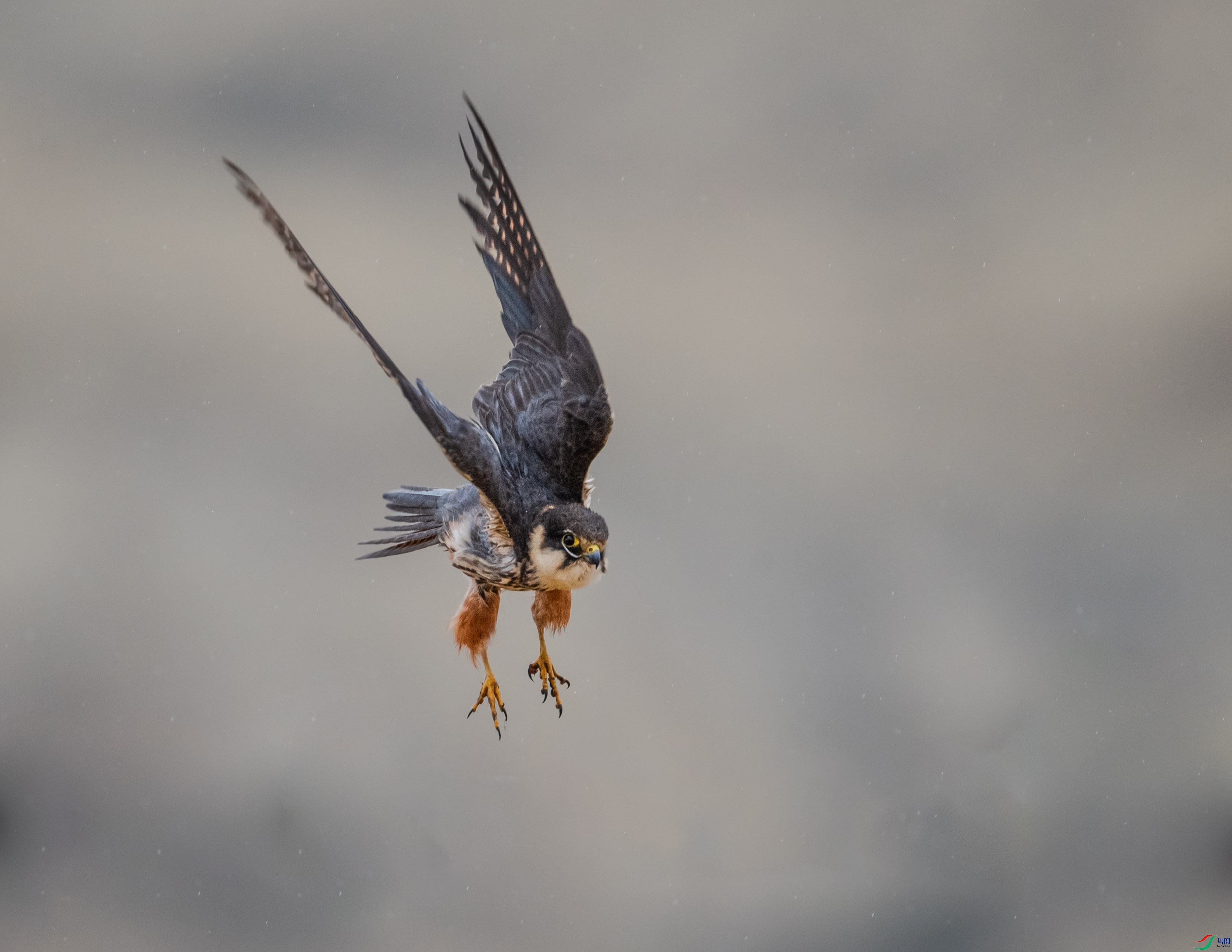 DSC_7630.jpg