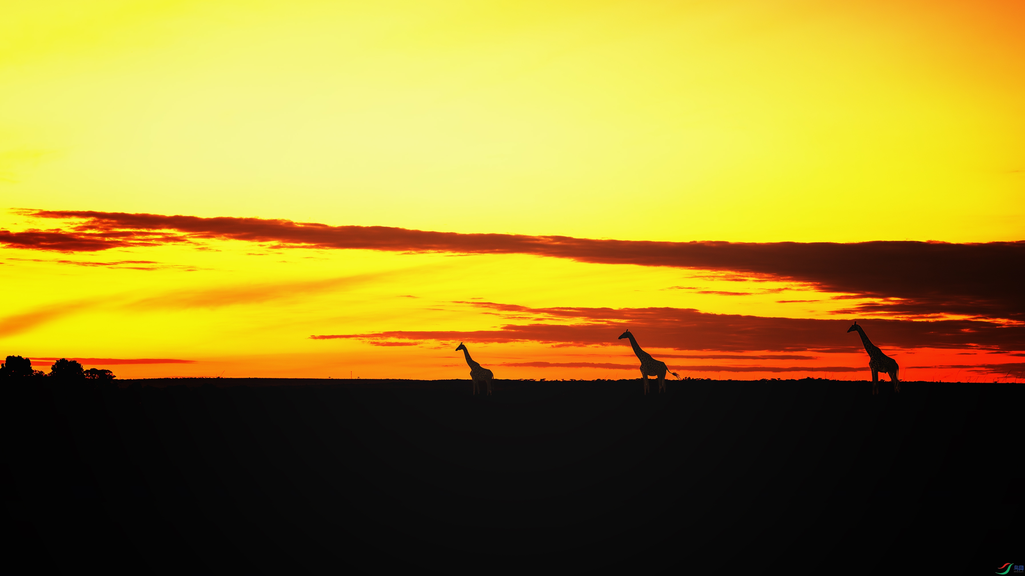 _DSC7711-����ǿ-NR-2 ����.jpg