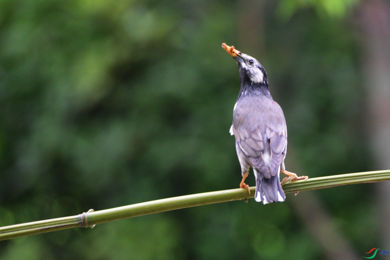 DSC_0545.JPG