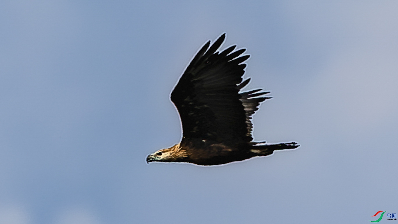 4F8A6155.jpg
