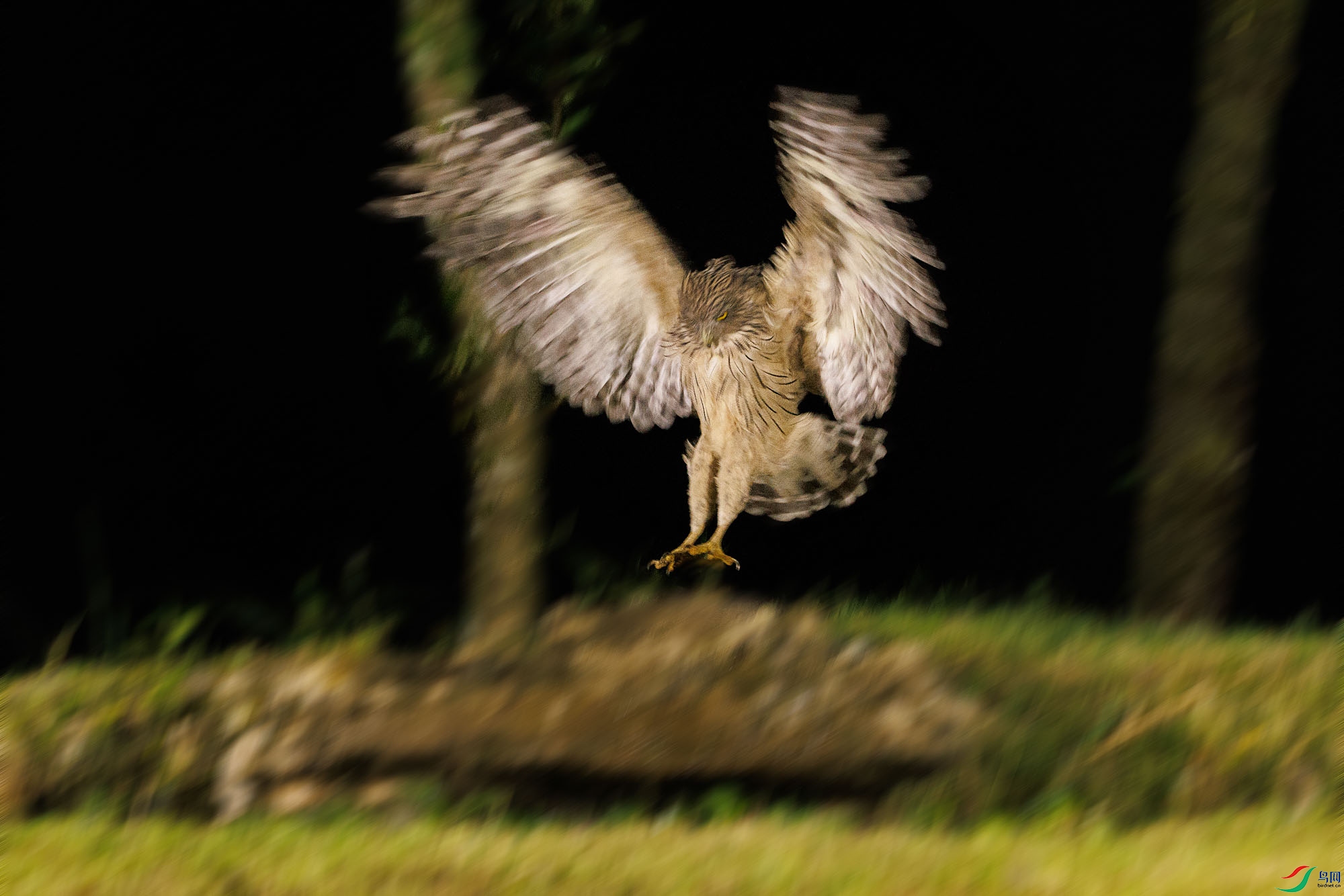 3Z6A0564 (2) ����.jpg