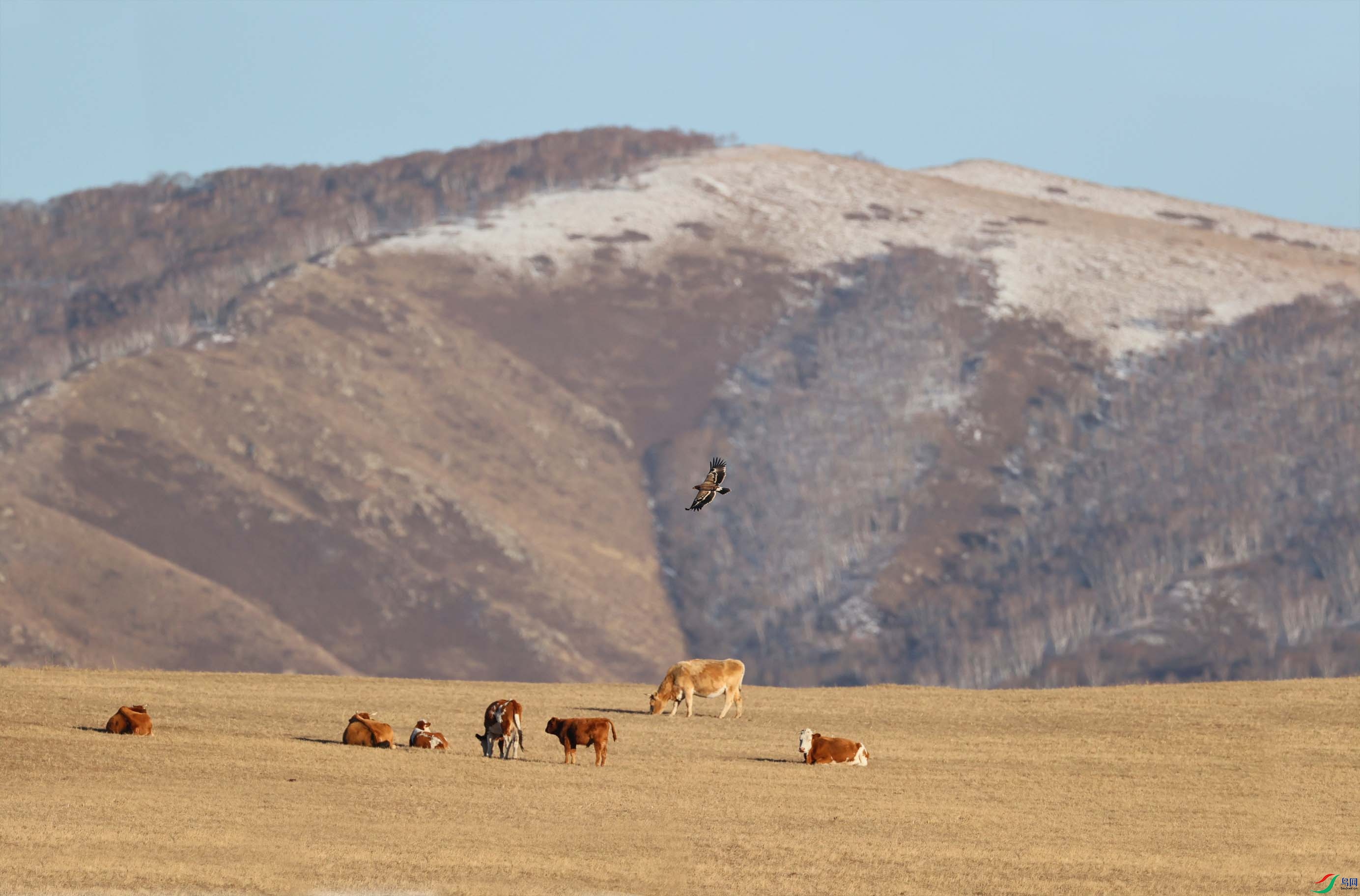 ��ɽ������ԭƬ�� ����.jpg