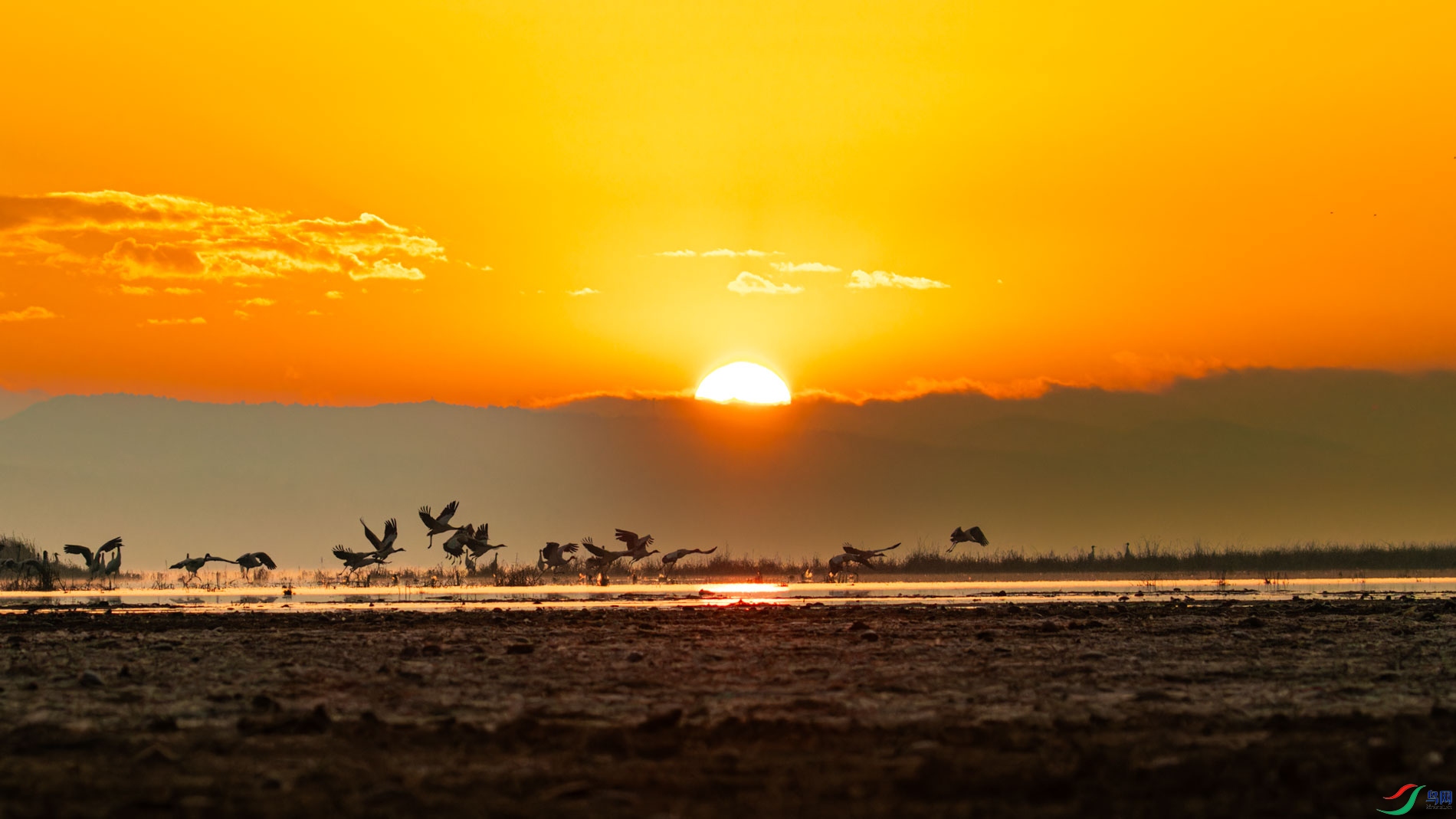 _00A2554-CR2_DxO_DeepPRIMEXD-1.jpg