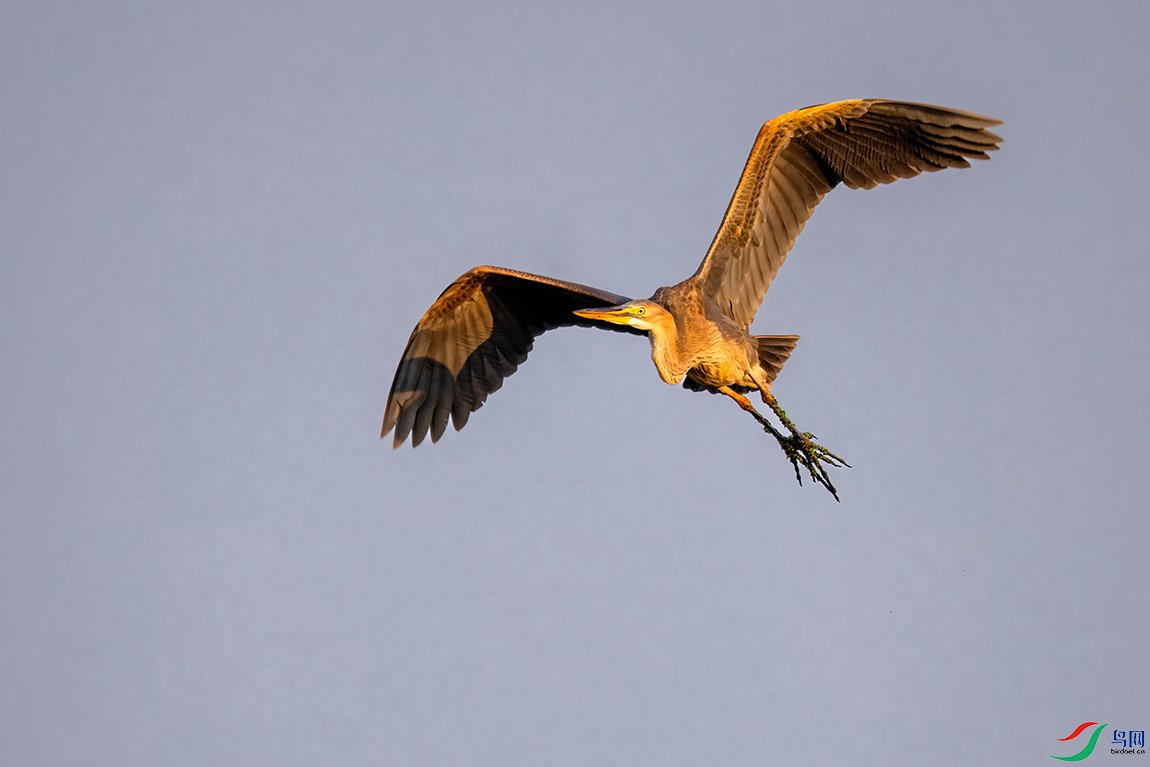 _DSC0297.png