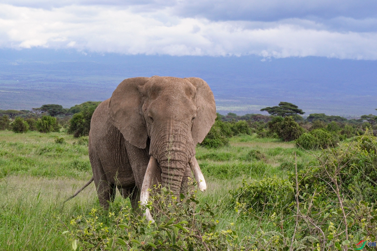 DSC_2502 ����.jpg