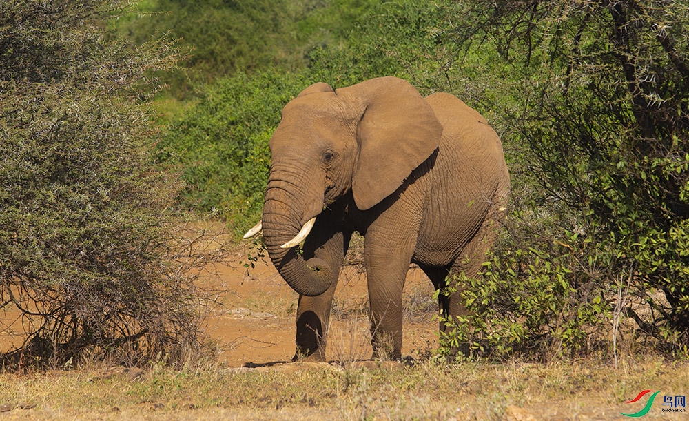 ���޴��� (3).jpg