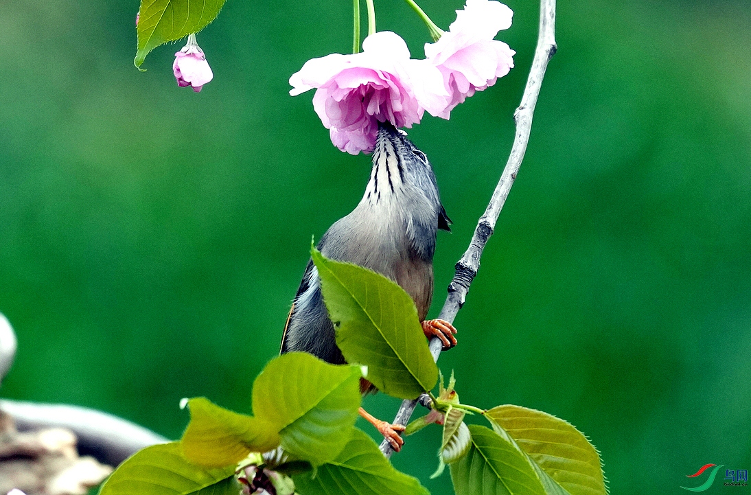 Ǧɫݺȸ9.21.JPG