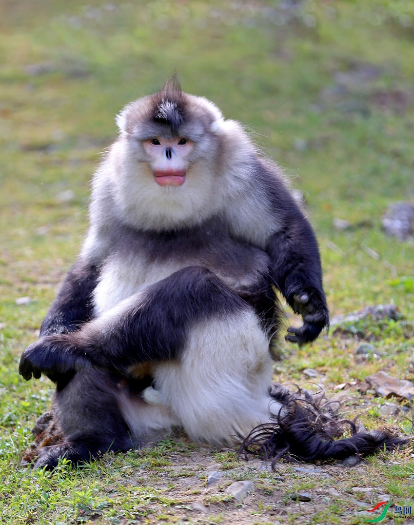 ������ʱ�⡷������ ��������13972211459.jpg