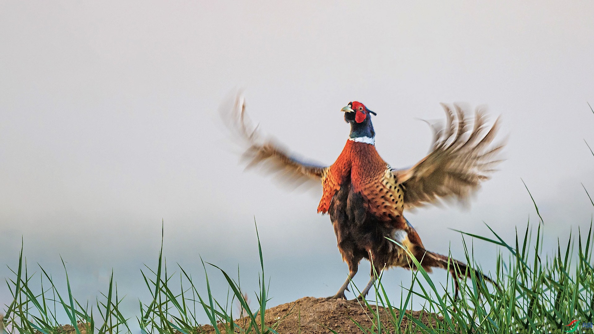 1�ĸ���37 ����.jpeg