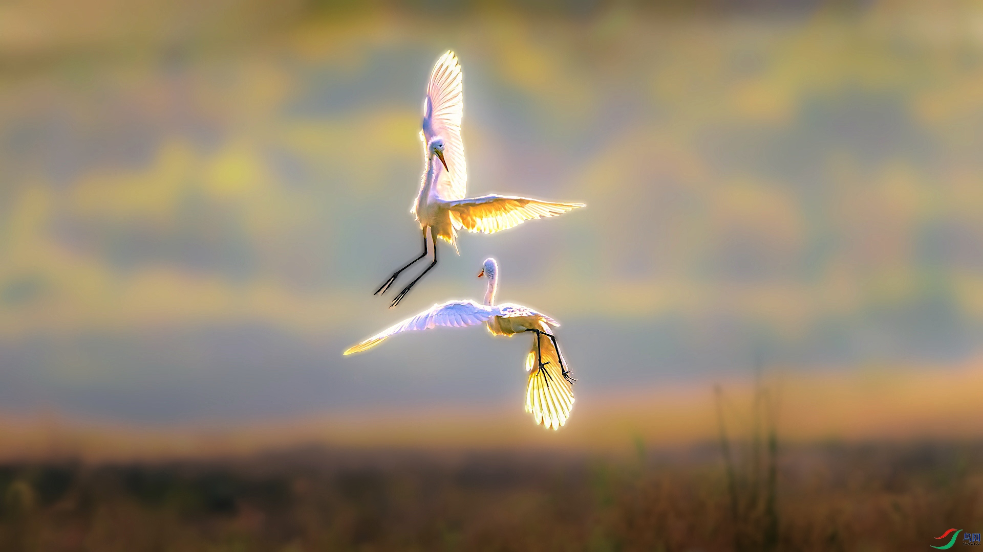 1XXL_2100-1 ����-1.jpg