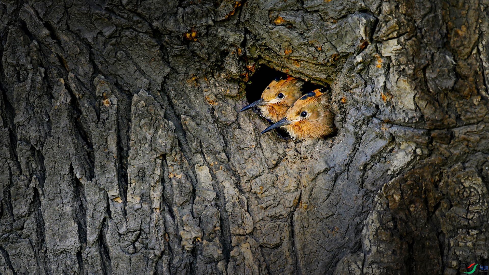 2WechatIMG96_����-2 ���� 2.jpeg