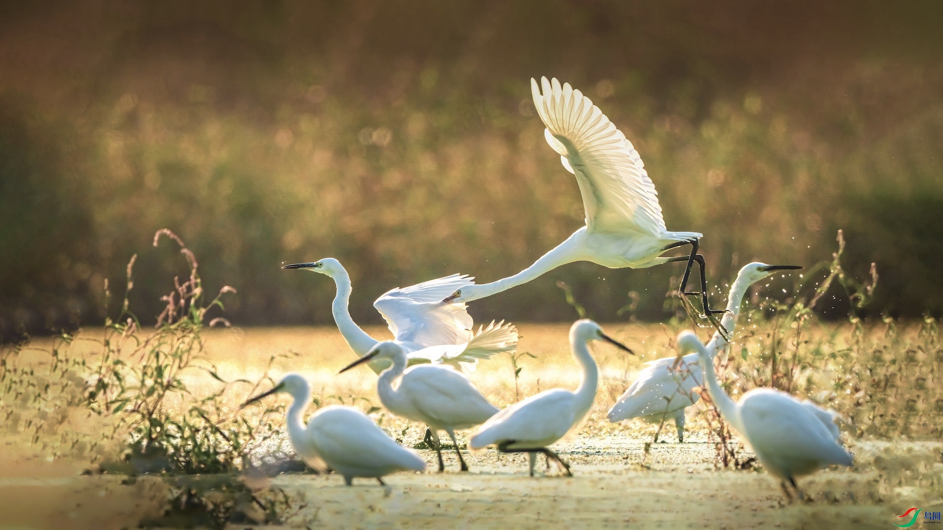 2XXL_2050-1 ����.jpeg