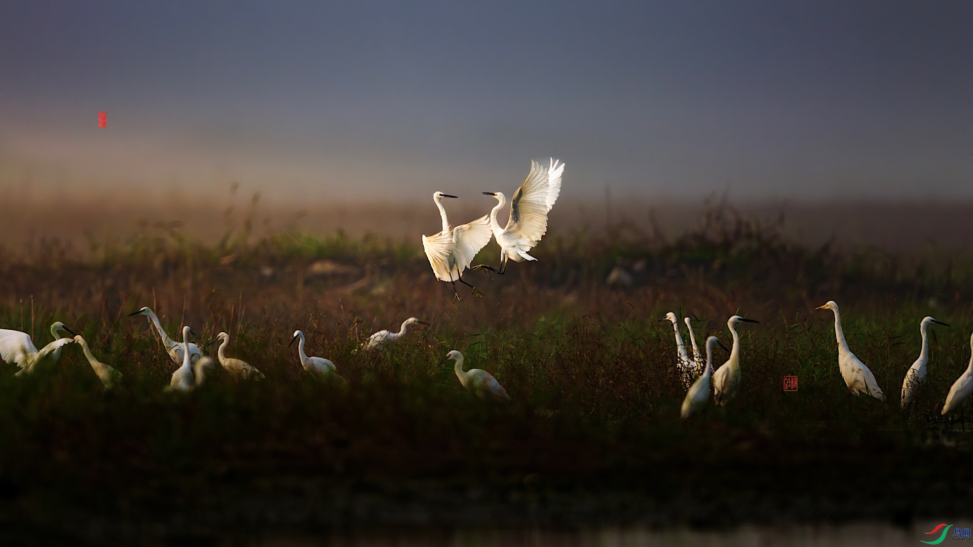 2XXL_7379-����ǿ-NR-1 ����.jpg123.jpeg