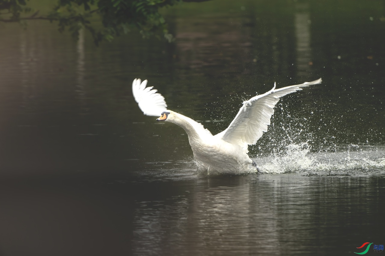 DSC05818 ����.jpeg